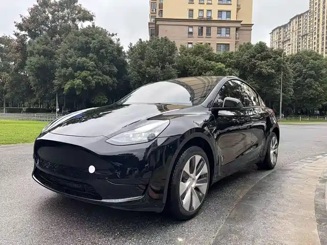 Tesla Model Y Model Y 2022 Facelift Rear-Wheel Drive Version — фото