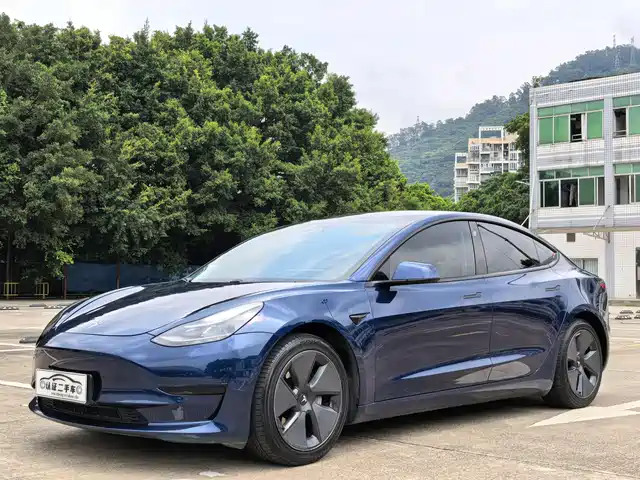 Tesla Model 3 Model 3 2021 Standard Range Rear Drive Upgraded Version — фото