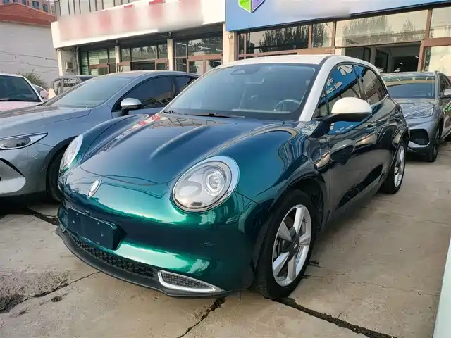 Euler Euler Good Cat Euler Good Cat 2021 Model 400km Standard Battery Life Venus Version Ternary Lithium — фото