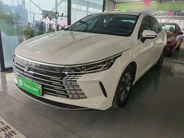 Byd Destroyer 05 Destroyer 05 2024 Honor Edition Dm-I 55km Luxury Type