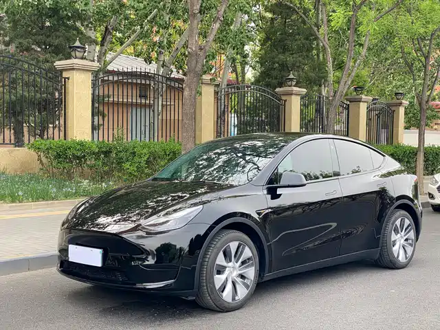 Tesla Model Y Model Y 2022 Rear-Wheel Drive Version — фото