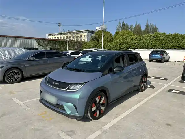 Byd Dolphin Dolphin 2021 401km Rider Edition — фото