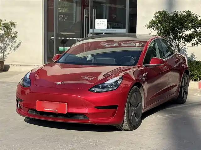Tesla Model 3 Model 3 2020 Facelift Standard Range Rear-Wheel Drive Upgraded Version — фото