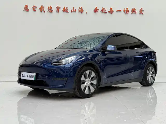 Tesla Model Y Model Y 2021 Standard Range Rear-Wheel Drive Version — фото