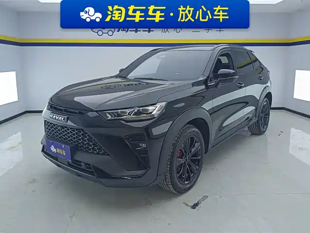 Harvard Haval H6s Haval H6s 2022 2.0t Two-Wheel Drive Smart Running Version — фото