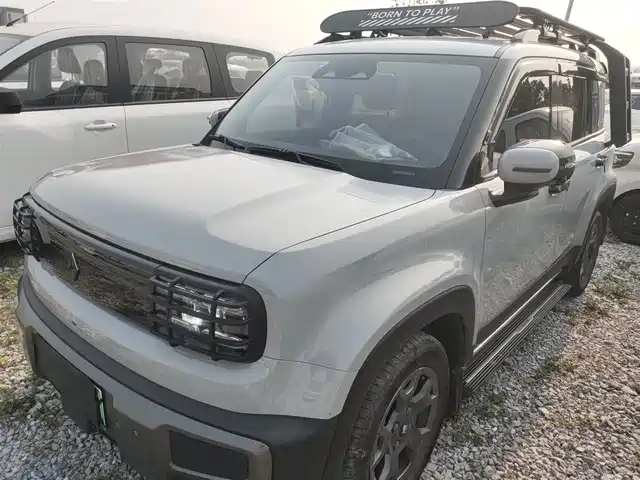 Baojun Baojun Yueye Plus Baojun Yueye Plus 2024 Zhizun Edition 4 Seats