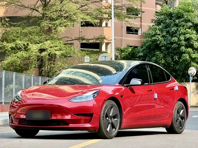 Tesla Model 3 Model 3 2021 Standard Range Rear Drive Upgraded Version — фото