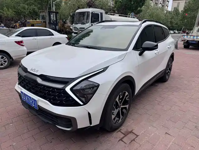 Kia Lion Platinum Expands the Boundary Lion Platinum Extension 2023 1.5t Two-Wheel Drive Premium Version