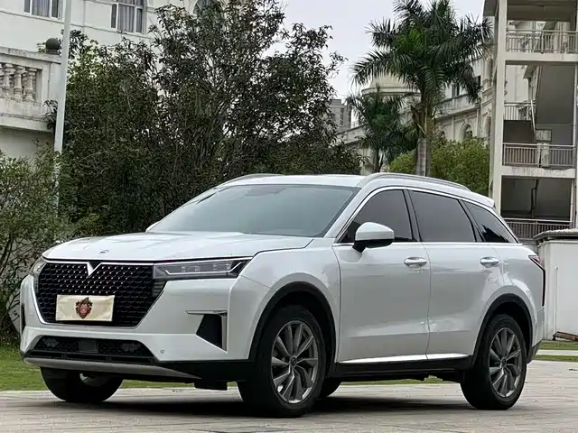 Qichen Venus Star Venucia 2023 260t Xingxiancheng Edition Pro