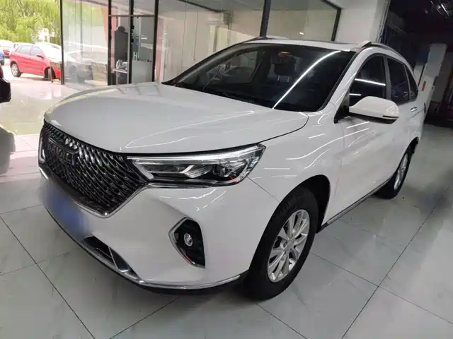Harvard Haval M6 Haval M6 2021 Plus 1.5t Dct Luxury Smart Connected Model — фото
