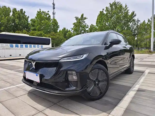 Lantu Automobile Lantu Bosom Friend Lantu Zhiyin 2024 Four-Wheel Drive Global Version