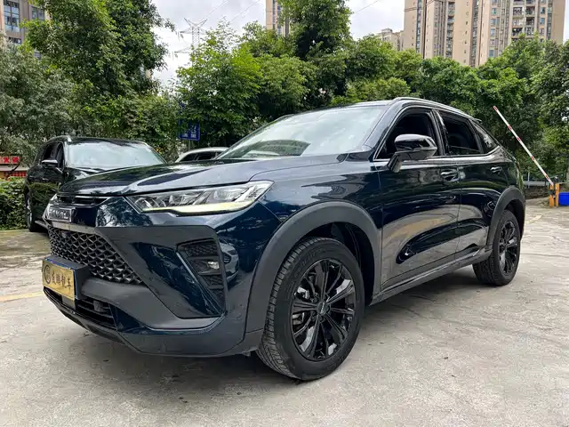 Harvard Haval H6s Haval H6s 2022 2.0t Two-Wheel Drive Smart Running Version — фото