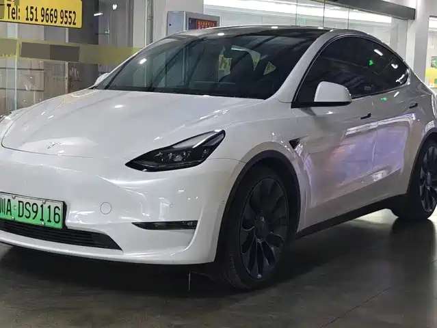Tesla Model Y Model Y 2021 Performance High-Performance All-Wheel Drive Version
