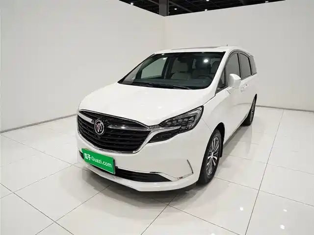 Buick Buick Gl8 Buick Gl8 2021 Es Lu Zun 653t Comfort Type