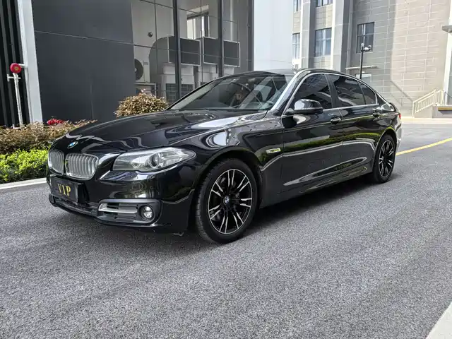 Bmw Bmw 5 Series Bmw 5 Series 2015 535li Leading Model
