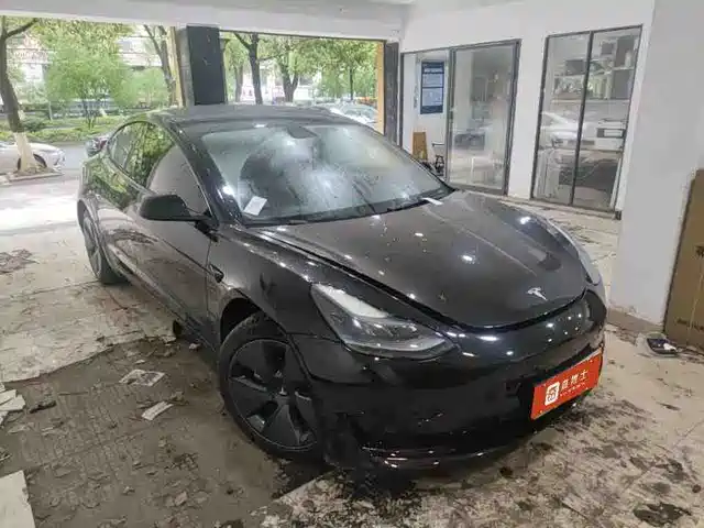 Tesla Model 3 Model 3 2022 Rear-Wheel Drive Version — фото