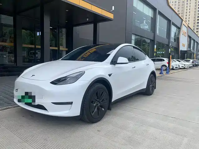 Tesla Model Y Model Y 2022 Facelift, Long-Range All-Wheel Drive Version