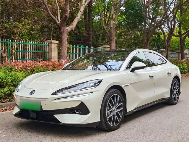 Gain Momentum Denza Z9 Denza Z9 2024 1100km Four-Wheel Drive Max Version — фото