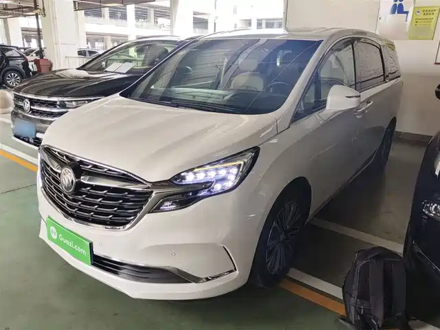 Buick Buick Gl8 Buick Gl8 2021 Es Lu Zun 653t Luxury Model