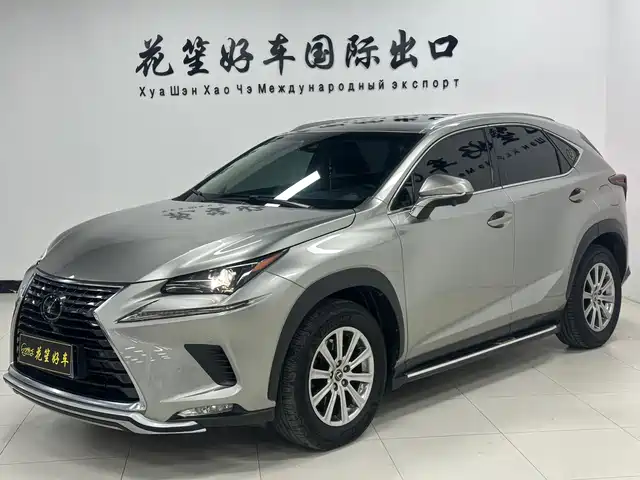 Lexus Lexus Nx Lexus Nx 2020 200 Awd Fengshang Edition National Vi — фото