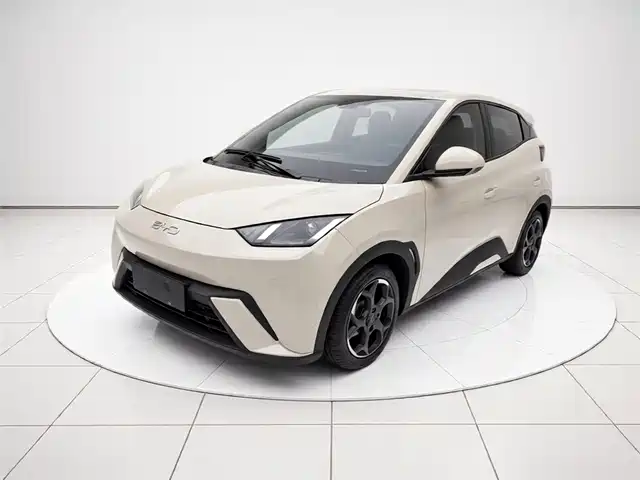 Byd Seagull Seagull 2024 Honor Edition 305km Free Edition