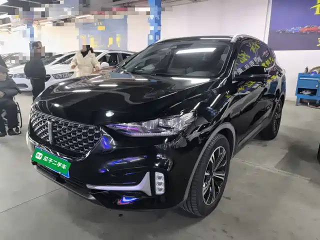 Wei Brand Wei Brand Vv6 Weipai Vv6 2021 2.0t 2wd Intelligent Protection+