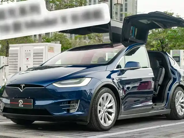 Tesla Model X Model X 2019 Long Range Edition — фото