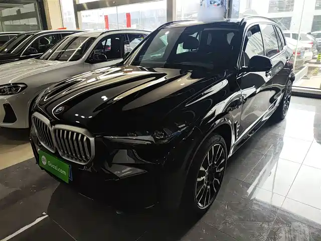 Bmw Bmw X5 Bmw X5 2023 Xdrive 40li M Sports Night Package — фото