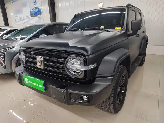 Tank Tank 300 Tank 300 2021 Off-Road Version 2.0t Conqueror