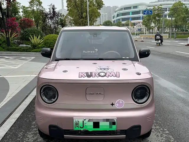 Geely Galaxy Panda Panda 2023 Panda Mini 200km Endurance Bear