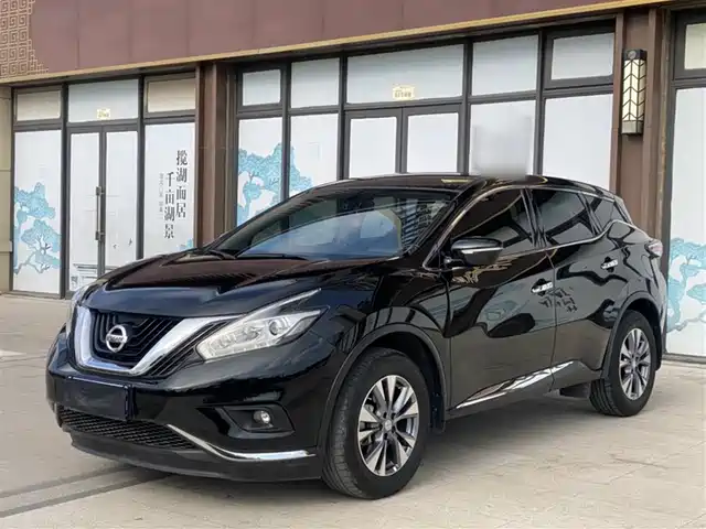 Nissan Loulan Loulan 2021 2.5l Xe 2wd Elite Edition — фото