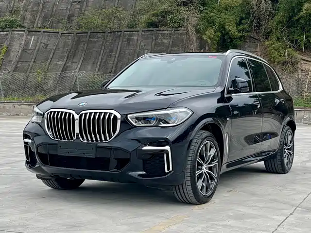 Bmw Bmw X5 Bmw X5 2022 Facelift Xdrive 30li Exclusive M Sports Package — фото