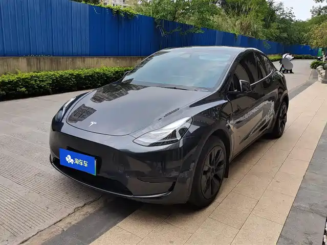 Tesla Model Y Model Y 2024 Rear-Wheel Drive Version — фото