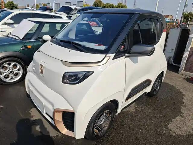 Baojun Baojun E200 Baojun E200 2019 250km Smart Edition