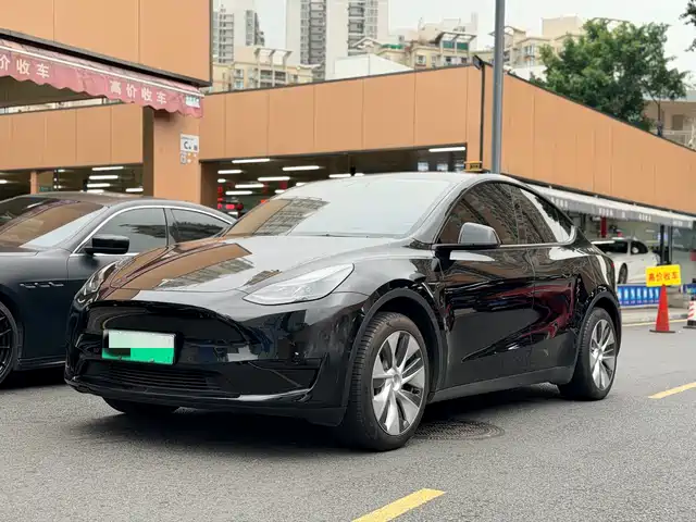 Tesla Model Y Model Y 2022 Rear-Wheel Drive Version — фото