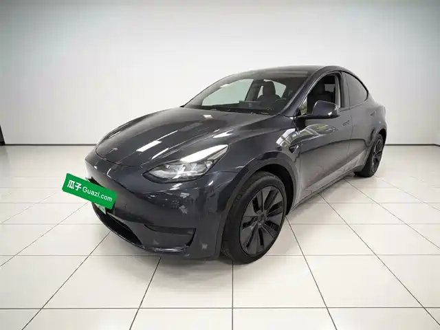Tesla Model Y Model Y 2024 Rear-Wheel Drive Version