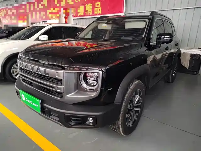 Harvard Harvard Dog Haval Big Dog 2024 1.5t Dct Border Collie Edition