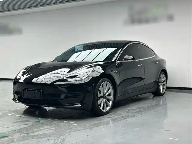 Tesla Model 3 Model 3 2019 Standard Range Rear Drive Upgraded Version — фото