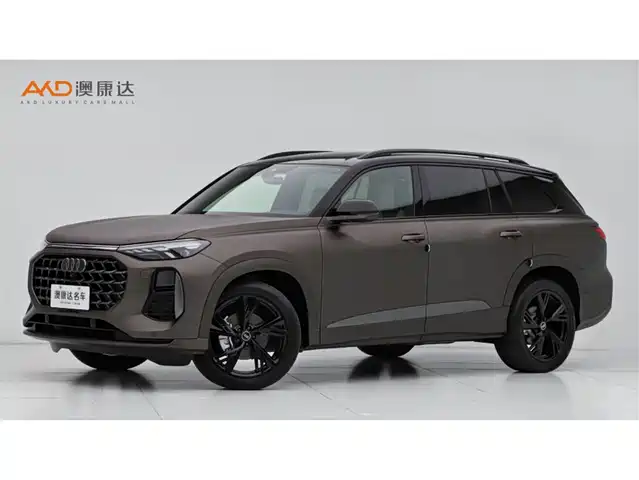 Audi Audi Q6 Audi Q6 2023 50 Tfsi Quattro Lingyun Edition Edition One