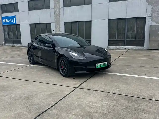 Tesla Model 3 Model 3 2022 Performance High-Performance All-Wheel Drive Version — фото