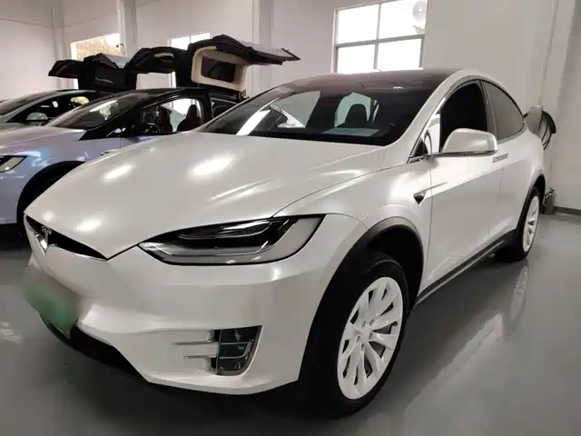 Tesla Model X Model X 2019 Long Range Edition — фото