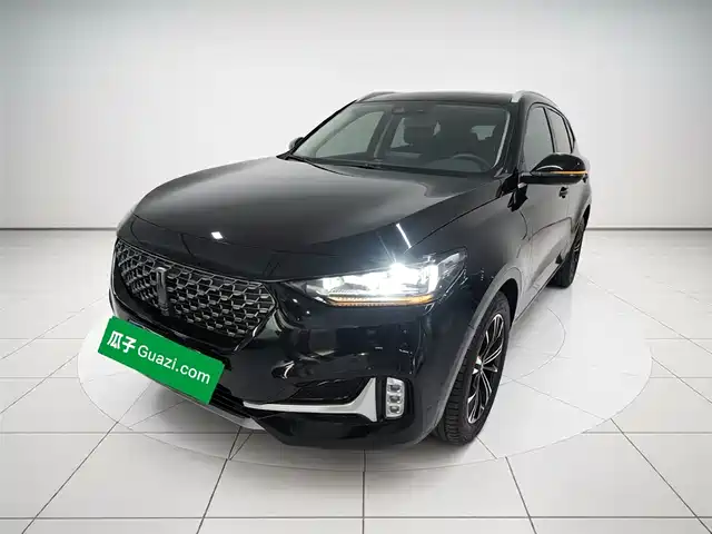 Wei Brand Wei Brand Vv6 Weipai Vv6 2020 2.0t 2wd Collie Smart Travel+ — фото
