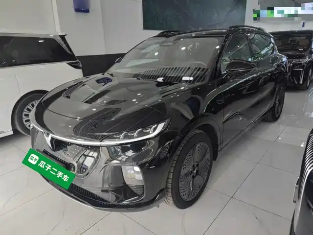 Lantu Automobile Lantu Bosom Friend Lantu Zhiyin 2024 Four-Wheel Drive Global Version