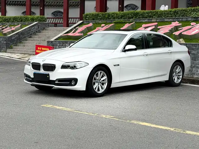 Bmw Bmw 5 Series Bmw 5 Series 2014 520li Elegant — фото