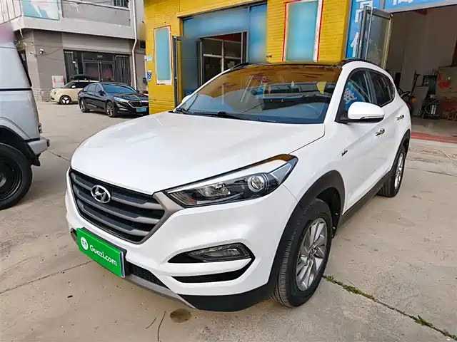 Hyundai Tucson Tucson 2018 1.6t Dual-Clutch Two-Wheel Drive 15th Anniversary Special Edition