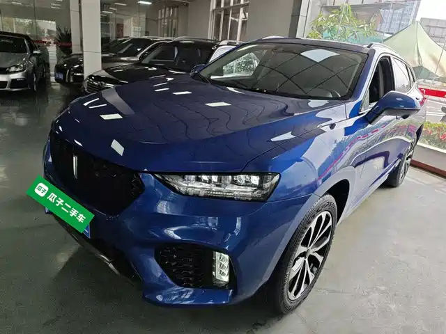 Wei Brand Wei Brand Vv7 Wei Brand Vv7 2019 Upgraded Model 2.0t Super Luxury Model National Vi — фото