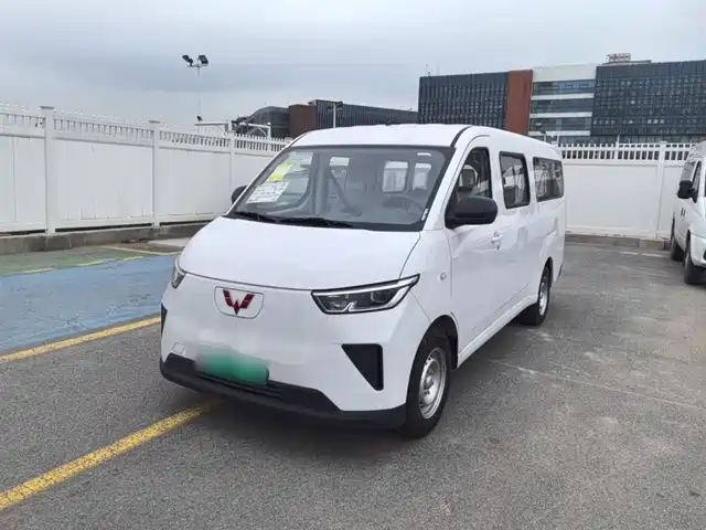 Wuling Motors Wuling Yangguang Wuling Yangguang 2024 300km Comfort Bus Version 75kw — фото