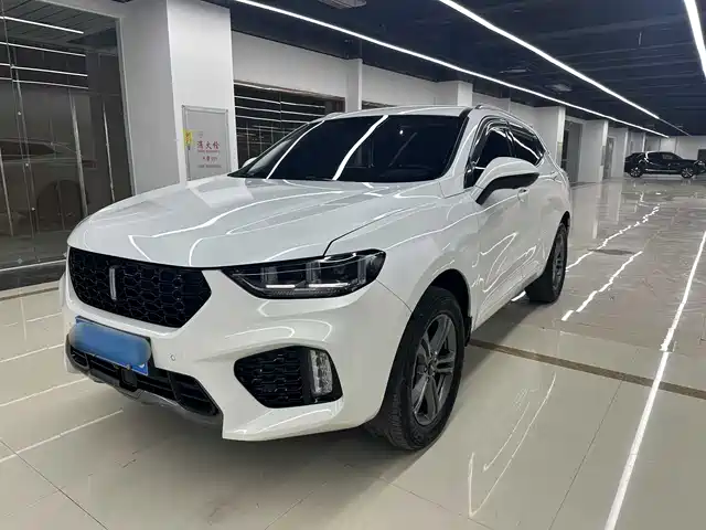 Wei Brand Wei Brand Vv5 Wei Brand Vv5 2019 1.5t 2wd Intelligent Pioneer