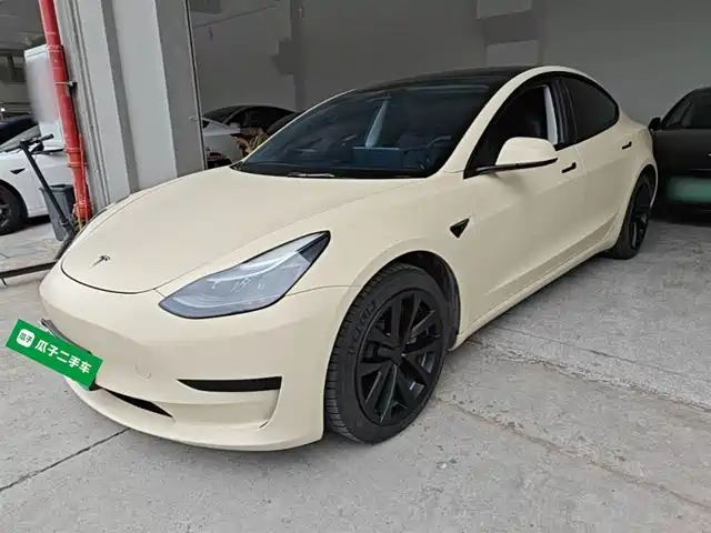 Tesla Model 3 Model 3 2022 Rear-Wheel Drive Version
