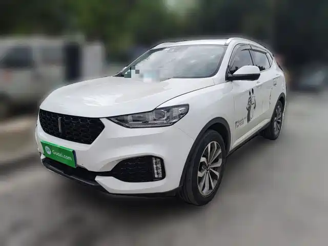 Wei Brand Wei Brand Vv6 Wei Brand Vv6 2018 2.0t Two-Wheel Drive Super Luxury Model, National V